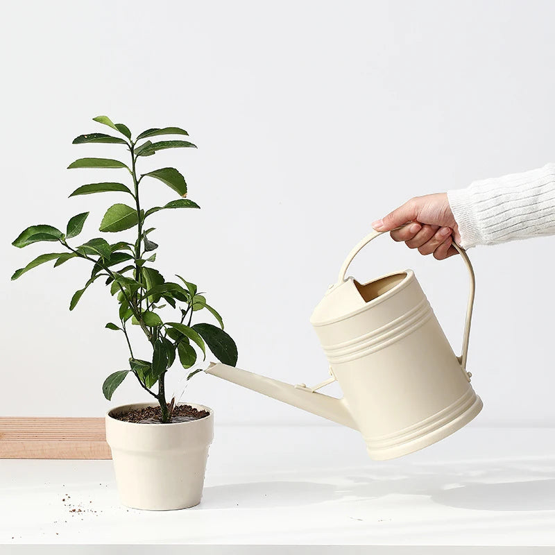 Elegant 2L Long Spout Watering Can – Minimalist Design for Indoor & Outdoor Plants