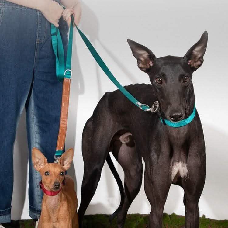 Hands-Free Dog Leash - Large Dogs Knitted Belt Traction Rope - Vezir