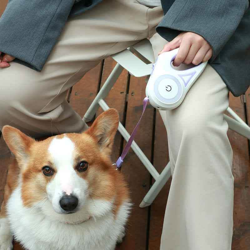 Luxury Retractable Dog Leash - LED Spotlight Walking System - Vezir