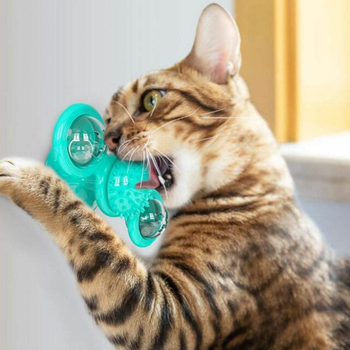 Interactive Windmill Cat Toy - Rotating Suction Cup Catnip Toy - Vezir