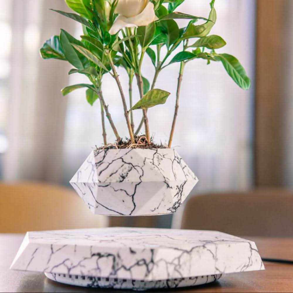 Magnetic Levitating Planter - Floating Bonsai Air Plant Pot - Vezir