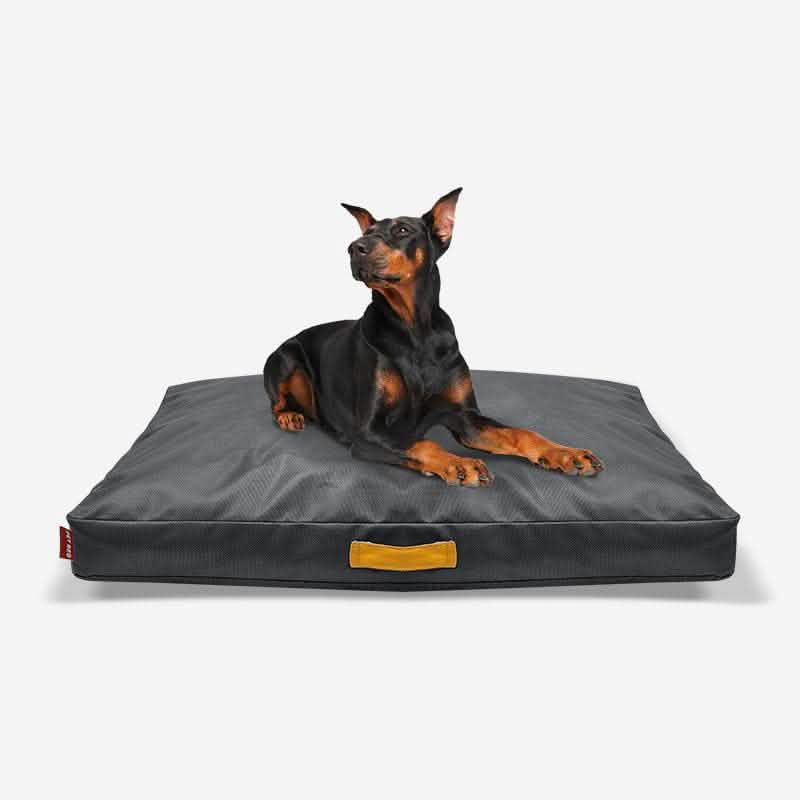 Scratch-Resistant Pet House - Non-Slip Kennel Bed Sponge - Vezir