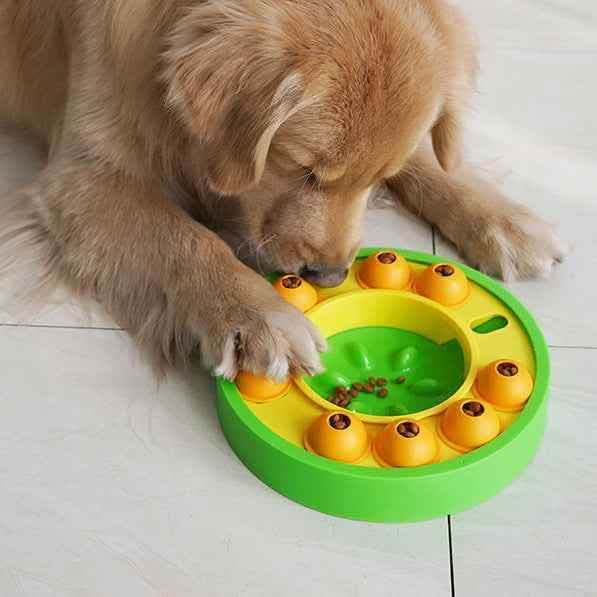 Interactive Dog Puzzle Feeder - Slow Eating IQ Training Bowl - Vezir