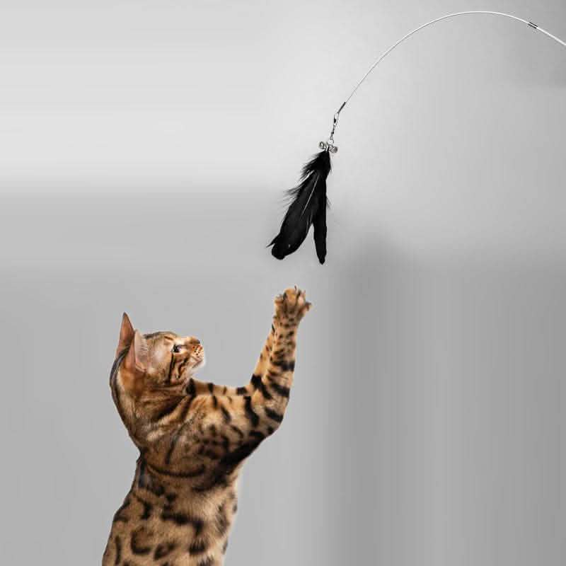 Telescopic Cat Fishing Rod - Interactive Bell Toy Removable Pen - Vezir