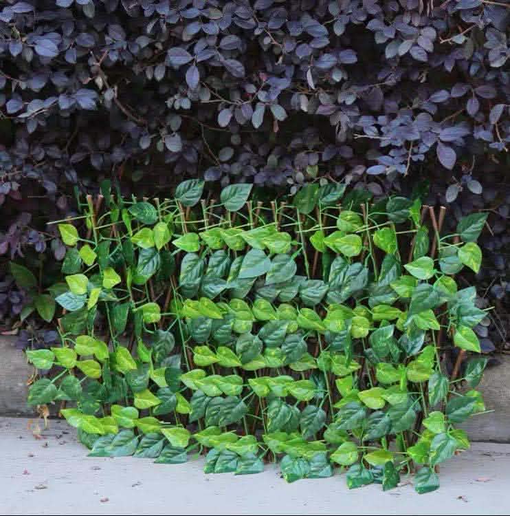 Plant Climb Trellis - Anticorrosive Wood Garden Wall Fence - Vezir