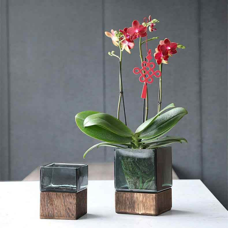 Transparent Glass Vase - Wood Color Flower Arrangement Set - Vezir