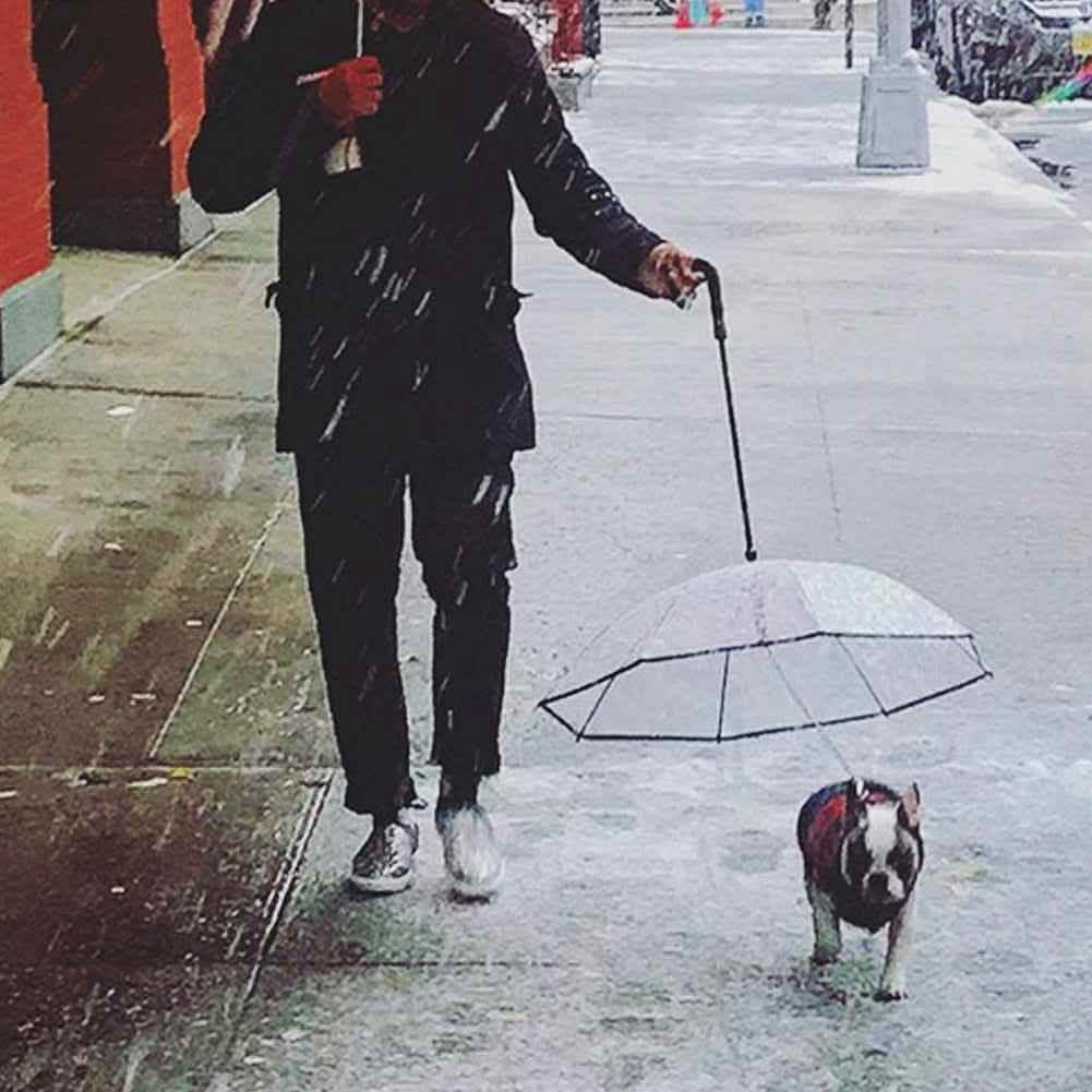 Elite Transparent Pet Umbrella - Integrated Leash System - Vezir