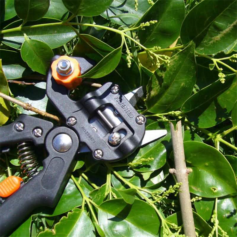 Professional Grafting Shears - Garden Pruning Tool Set - Vezir
