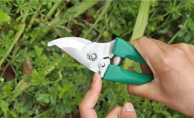 10-Piece Gardening Tool Set - Iron Head Plastic Handle Kit - Vezir
