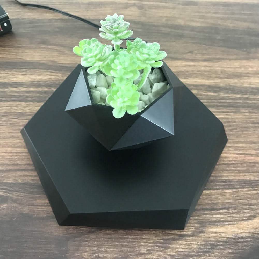 Magnetic Levitating Planter - Floating Bonsai Air Plant Pot - Vezir