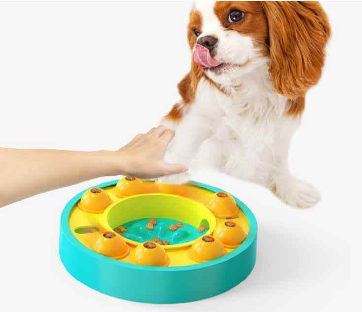 Interactive Dog Puzzle Feeder - Slow Eating IQ Training Bowl - Vezir