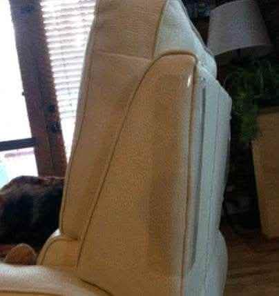 Cat Claw Protector Pads - Sofa Furniture Protection Set - Vezir