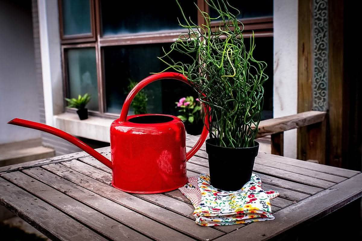 Large Capacity Iron Watering Pot - Garden Greening Kettle - Vezir