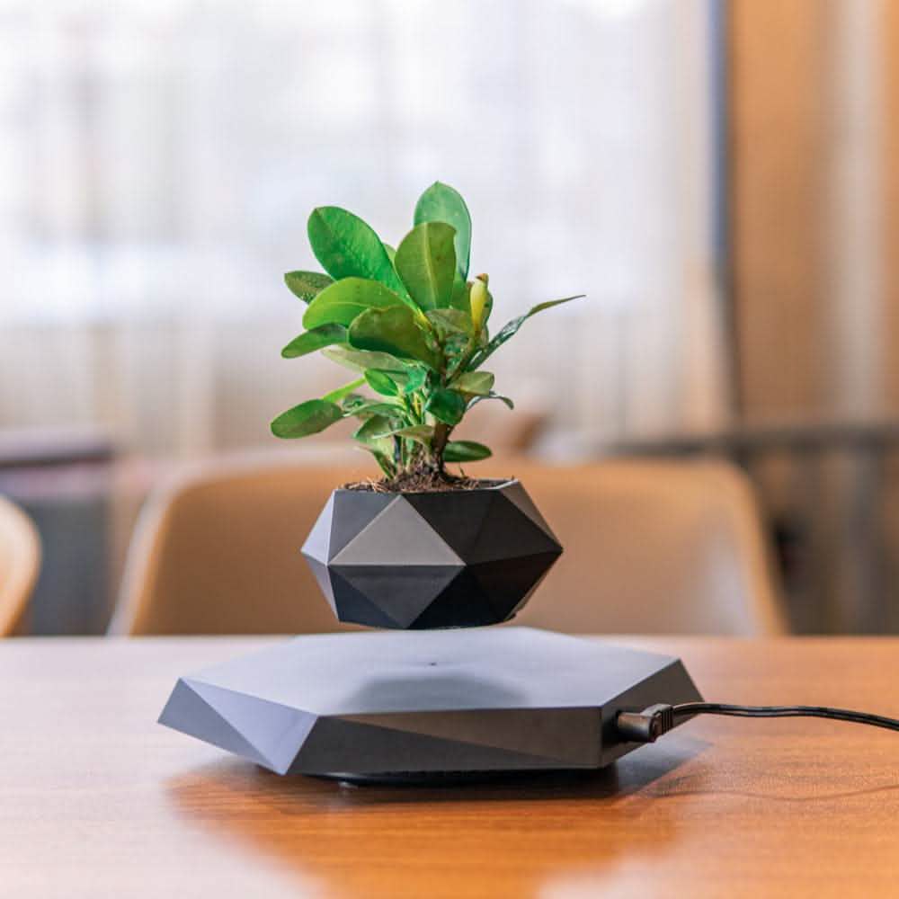 Magnetic Levitating Planter - Floating Bonsai Air Plant Pot - Vezir