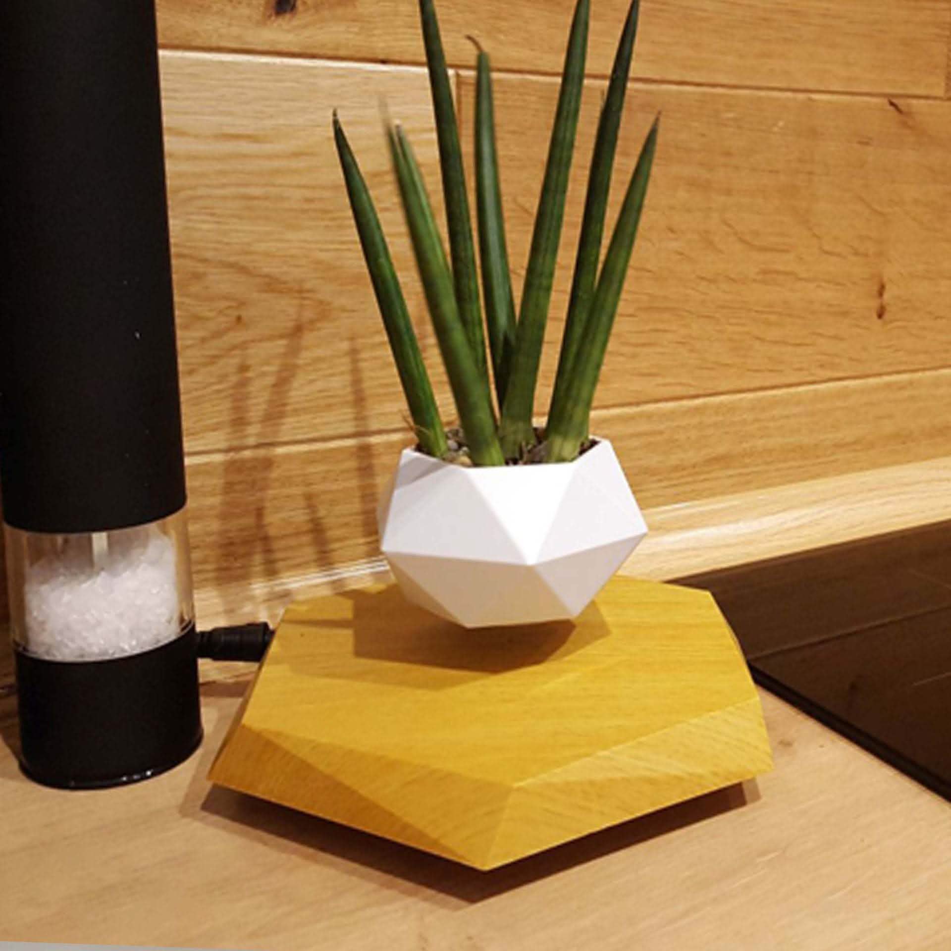 Magnetic Levitating Planter - Floating Bonsai Air Plant Pot - Vezir