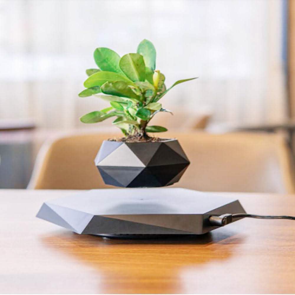 Magnetic Levitating Planter - Floating Bonsai Air Plant Pot - Vezir