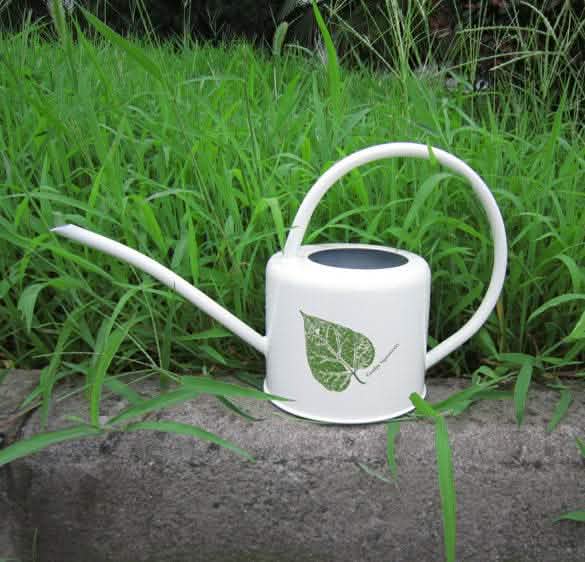 Large Capacity Iron Watering Pot - Garden Greening Kettle - Vezir