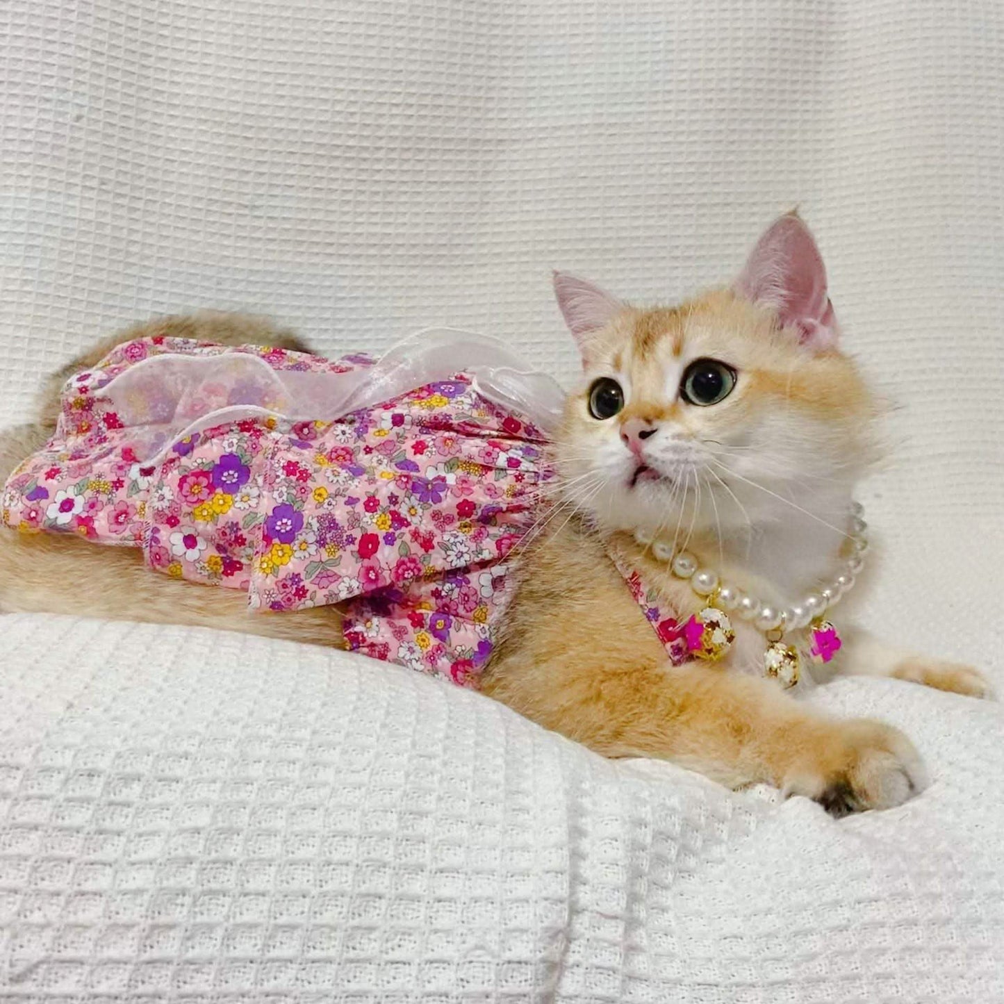 Spring Summer Dog Dress - Cotton Floral Pet Clothing - Vezir
