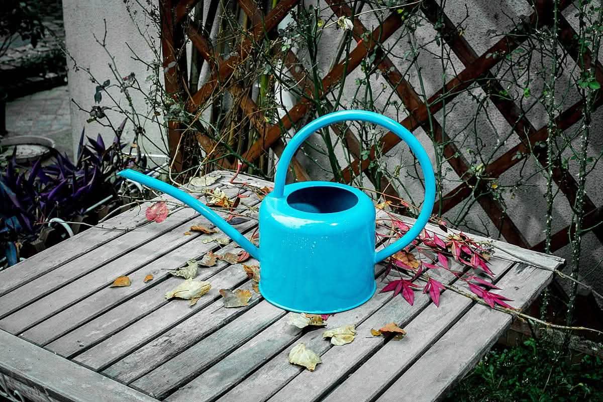 Large Capacity Iron Watering Pot - Garden Greening Kettle - Vezir
