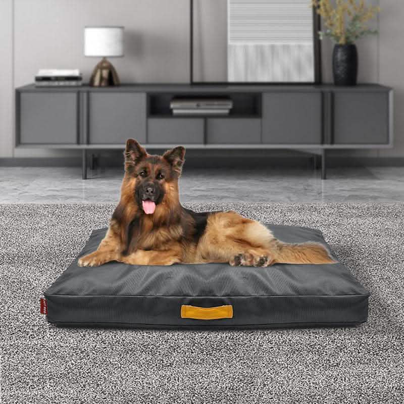Scratch-Resistant Pet House - Non-Slip Kennel Bed Sponge - Vezir